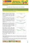 Vista preliminar de documento Boletín de Abastecimiento y Precios Mayoristas GMML y MM Nº2 -14/06/20