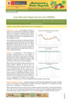 Vista preliminar de documento Boletín de Abastecimiento y Precios Mayoristas GMML y MM Nº2 -18/06/20