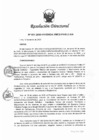 Vista preliminar de documento RD 31-2020-UA