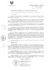 Vista preliminar de documento R.E.R. Nro 171-2020-GR-GR PUNO