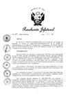 Vista preliminar de documento DIR-DEM-001