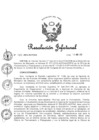 Vista preliminar de documento OL-DDEM-039