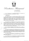 Vista preliminar de documento RM N° 100