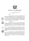 Vista preliminar de documento RD 115-2020