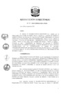 Vista preliminar de documento RD 117-2020