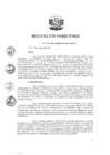 Vista preliminar de documento RD 118-2020