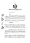 Vista preliminar de documento RD 131-2020