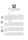 Vista preliminar de documento RD 132-2020