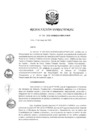 Vista preliminar de documento RD 133-2020