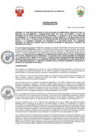 Vista preliminar de documento -2588364706754015568