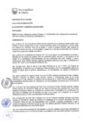 Vista preliminar de documento 2370394069356734751