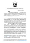 Vista preliminar de documento -4473614527216821821
