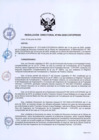 Vista preliminar de documento RD Nº 054-2020-DE