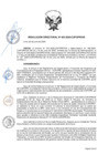 Vista preliminar de documento RD Nº 053-2020-DE