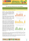Vista preliminar de documento Boletín de Abastecimiento y Precios Mayoristas GMML y MM Nº2 -22/06/20