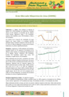 Vista preliminar de documento Boletín de Abastecimiento y Precios Mayoristas GMML y MM Nº2 -23/06/20