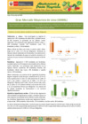 Vista preliminar de documento Boletín de Abastecimiento y Precios Mayoristas GMML y MM Nº2 -24/06/20