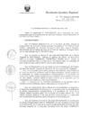 Vista preliminar de documento R.E.R. Nro 176-2020-GR-GR PUNO