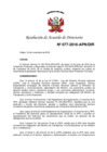 Vista preliminar de documento N°077-2016-APN-DIR