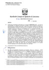 Vista preliminar de documento RCONAS-201-2020-PRODUCE-CONAS-CP