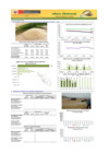 Vista preliminar de documento Boletín de ARROZ - 25/06/20