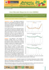 Vista preliminar de documento Boletín de Abastecimiento y Precios Mayoristas GMML y MM Nº2 -25/06/20