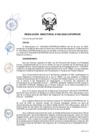 Vista preliminar de documento RD N° 055-2020-DE