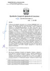 Vista preliminar de documento RCONAS-133-2020-PRODUCE-CONAS-1CT