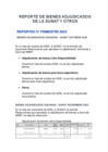 Vista preliminar de documento REPORTE DE BIENES ADJUDICADOS DE LA SUNAT Y OTROS IV TRIM 2025