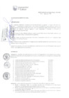 Vista preliminar de documento 0491450001409343081