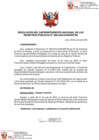 Vista preliminar de documento RES. 088-2020-SN