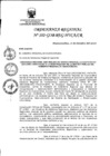 Vista preliminar de documento 515042_or-102.1541
