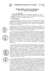 Vista preliminar de documento RER.0057.2020