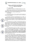 Vista preliminar de documento RER.0082.2020