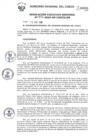 Vista preliminar de documento RER.0096.2020