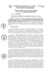 Vista preliminar de documento RER.0149.2020