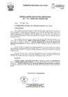 Vista preliminar de documento RER.0195.2020