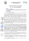 Vista preliminar de documento RER.0208.2020