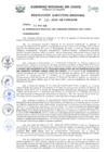 Vista preliminar de documento RER.0234.2020