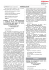 Vista preliminar de documento RS Nº 044-2020-IN