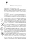 Vista preliminar de documento RA-247-2019
