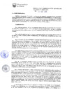 Vista preliminar de documento RG-411-2015