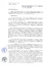 Vista preliminar de documento RG-011-2016