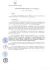 Vista preliminar de documento RG-188-2016