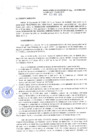 Vista preliminar de documento RG-196-2016