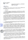 Vista preliminar de documento RG-333-2016