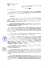 Vista preliminar de documento RG-530-2016