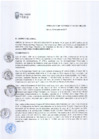 Vista preliminar de documento RG-196-2017