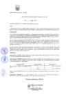 Vista preliminar de documento RG-261-2017