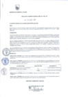 Vista preliminar de documento RG-361-2017